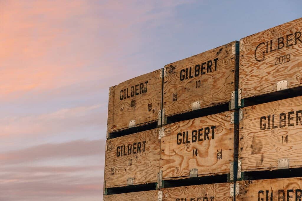 On-Site Food Truck Delights