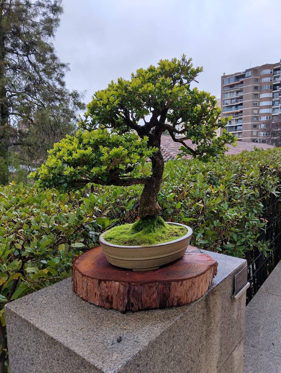 Tropical Plant House