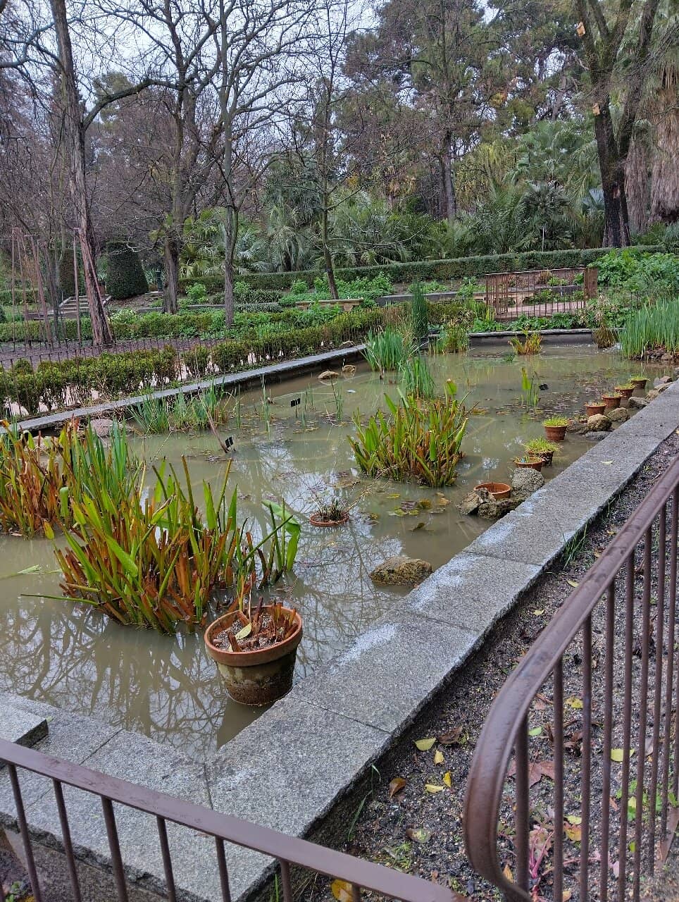 Cacti and Succulent Tunnels