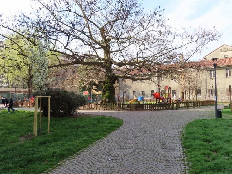 Basketball Court