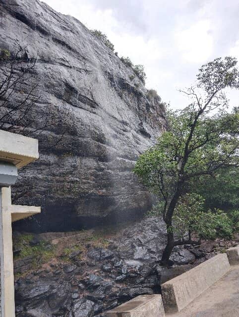 The Mud House