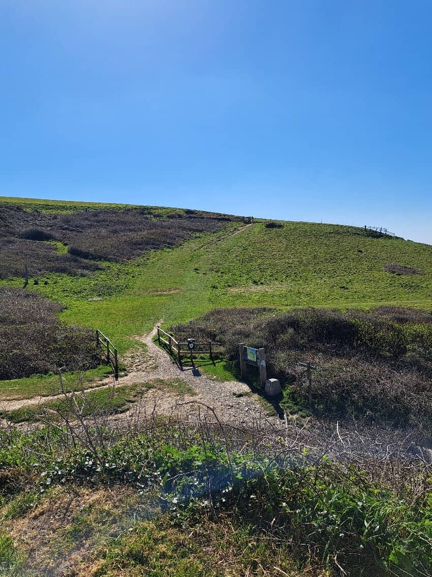Coastal Cliff Formations