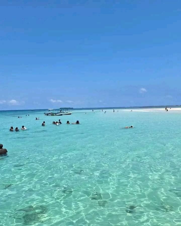 Wasini Island Exploration