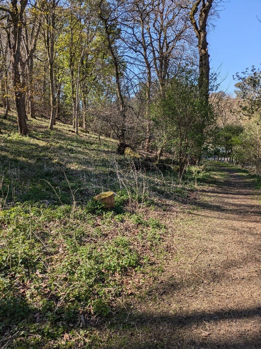 Rest & Be Thankful Viewpoint