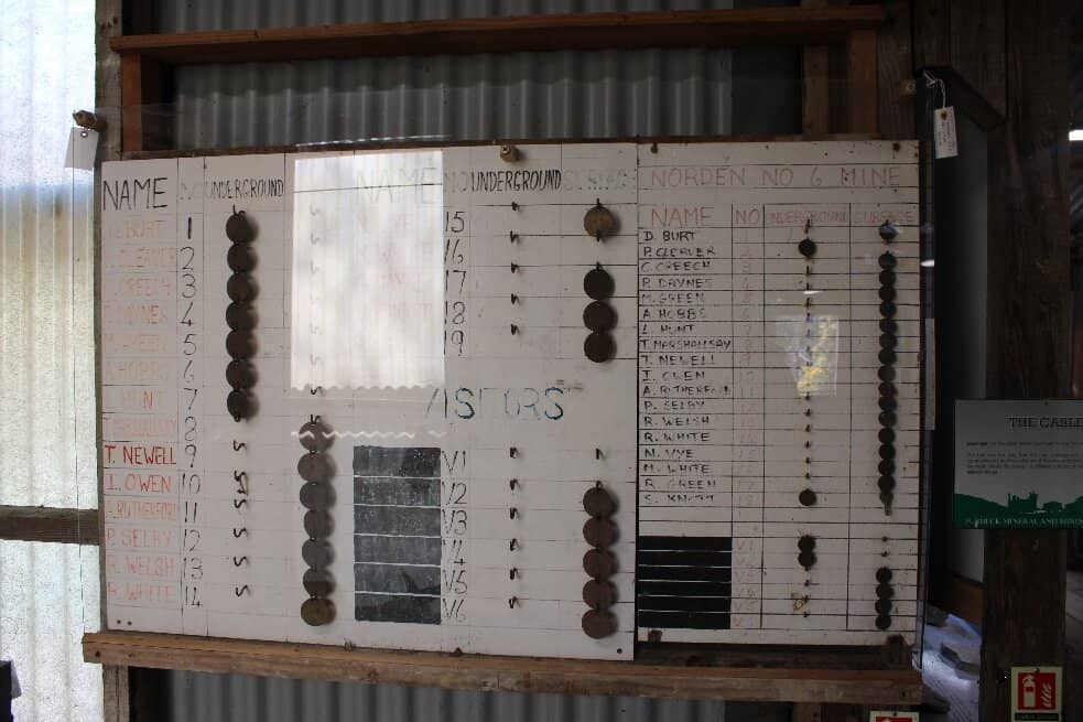 Volunteer-Led Insights