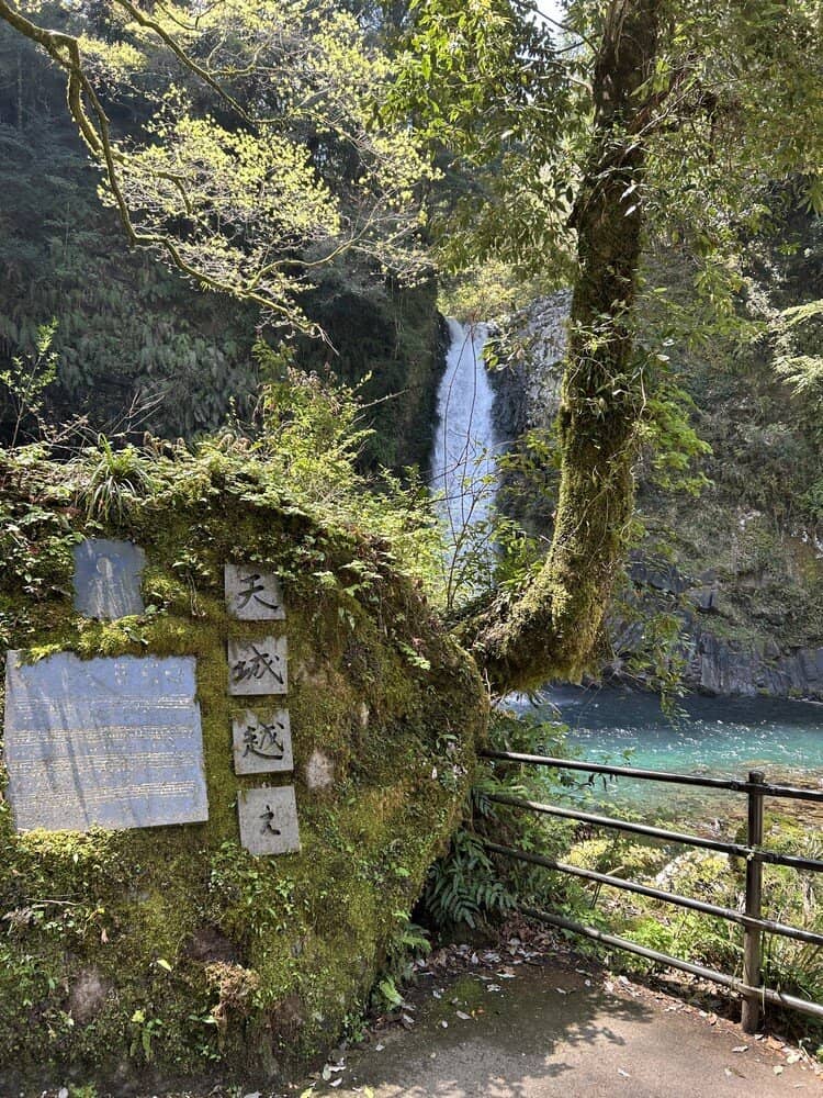 Wasabi Fields & Farm