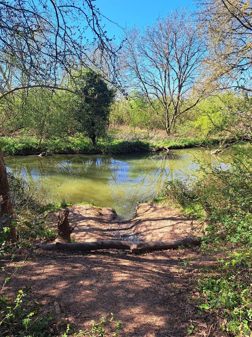 Dedicated Cycle Tracks