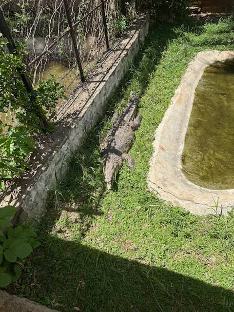 Educational Exhibits