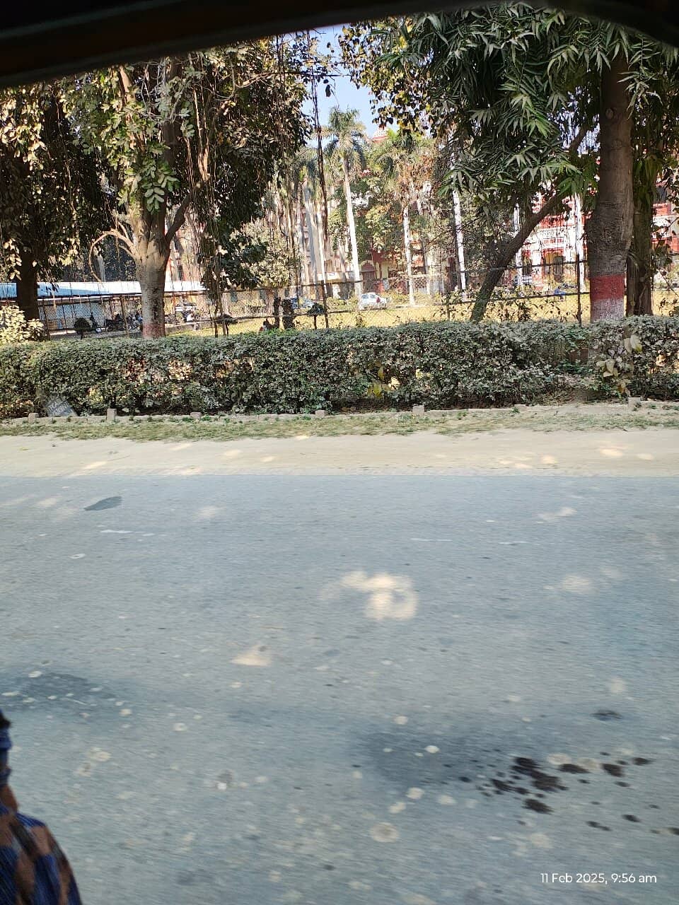 Architectural Diversity