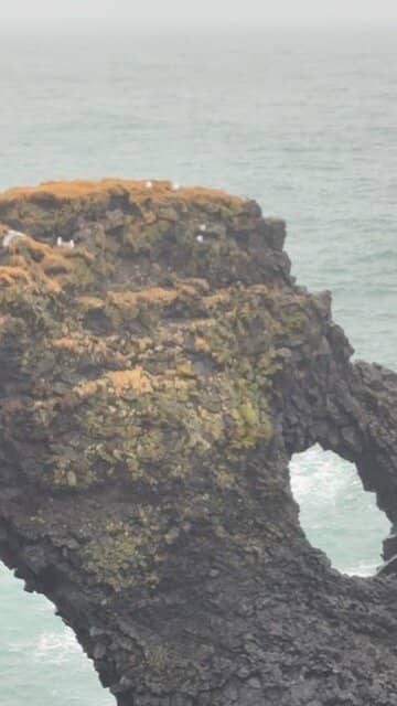 Vertical photo