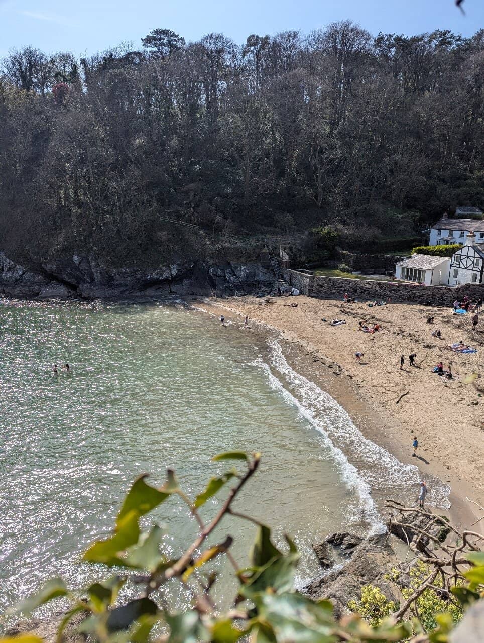 Woodland and Cliff Walks