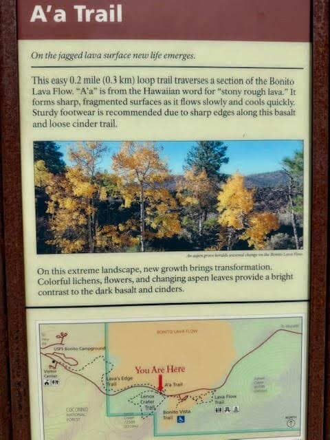 Sunset Crater Volcano Trail