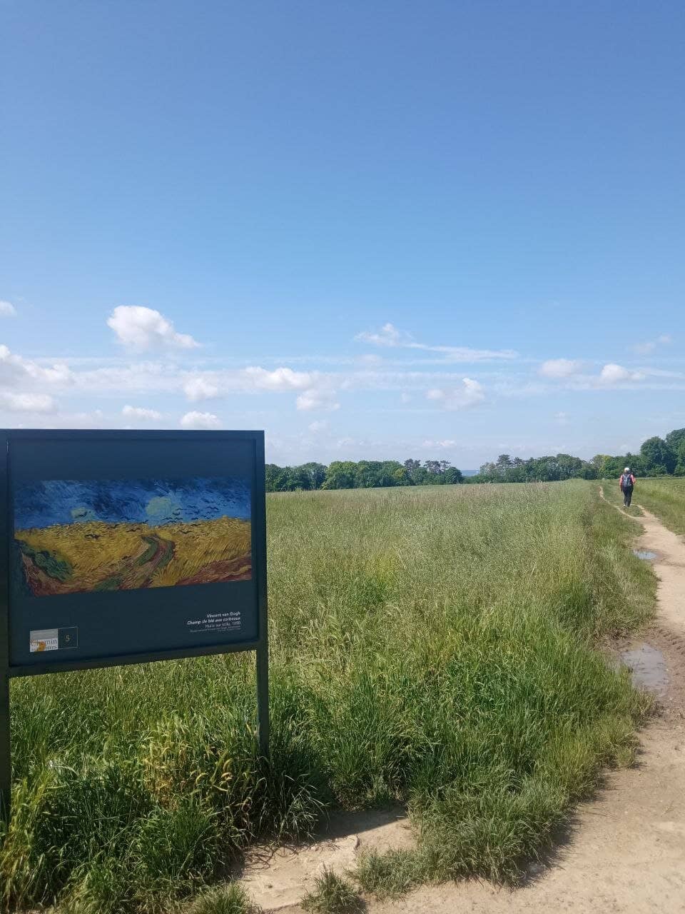 Van Gogh's Final Landscapes