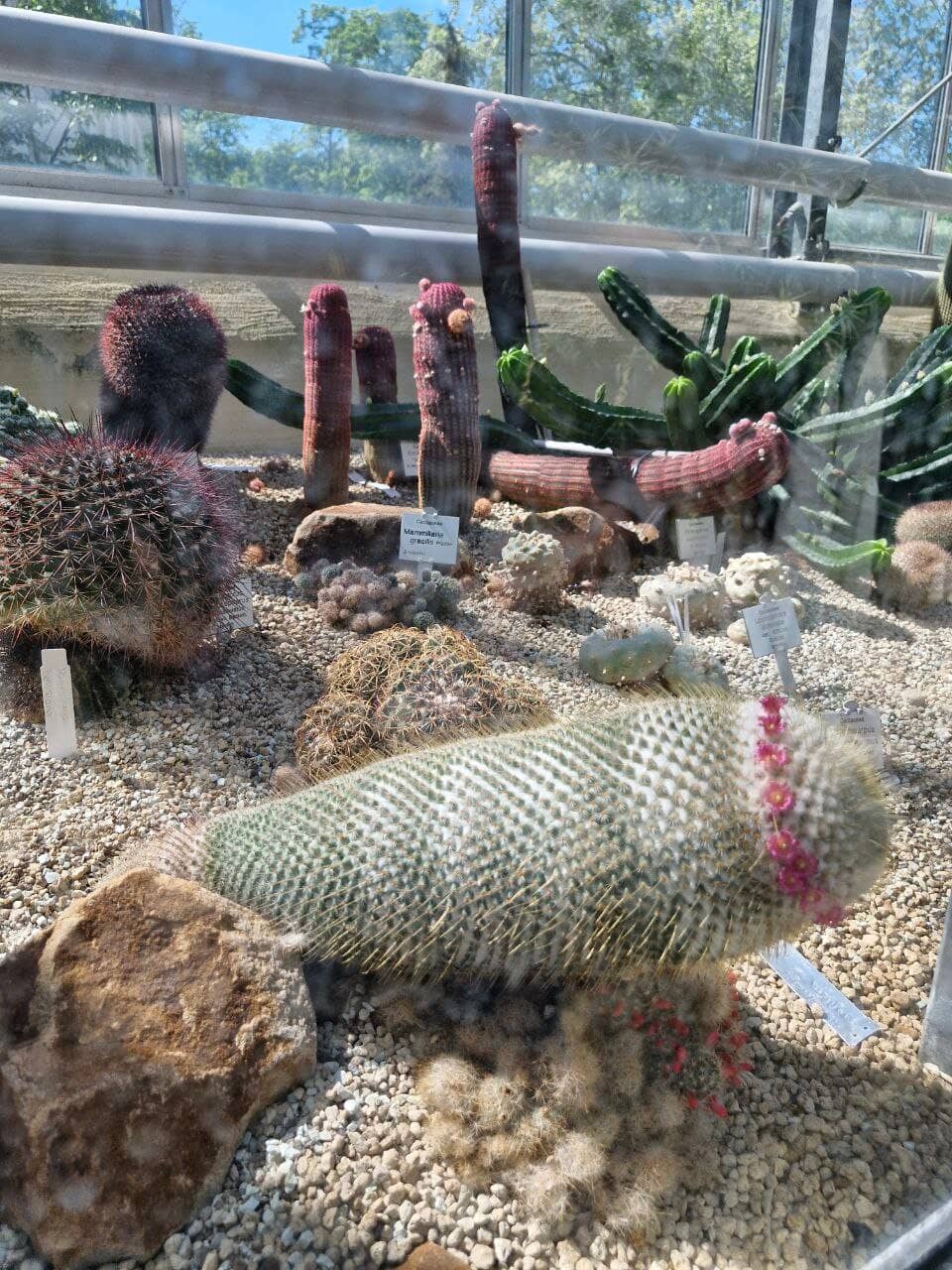Highlights