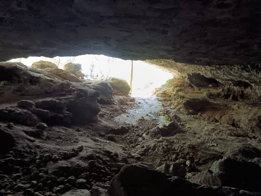 Neanderthal History