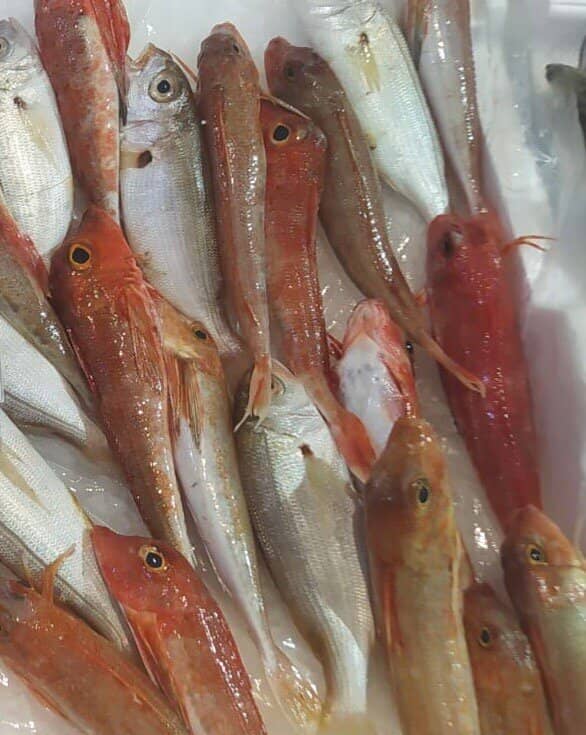 Fresh Seafood Stalls