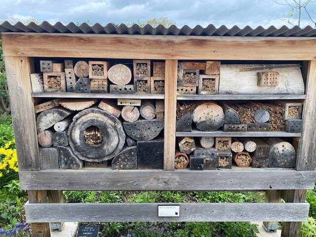 Art Installations