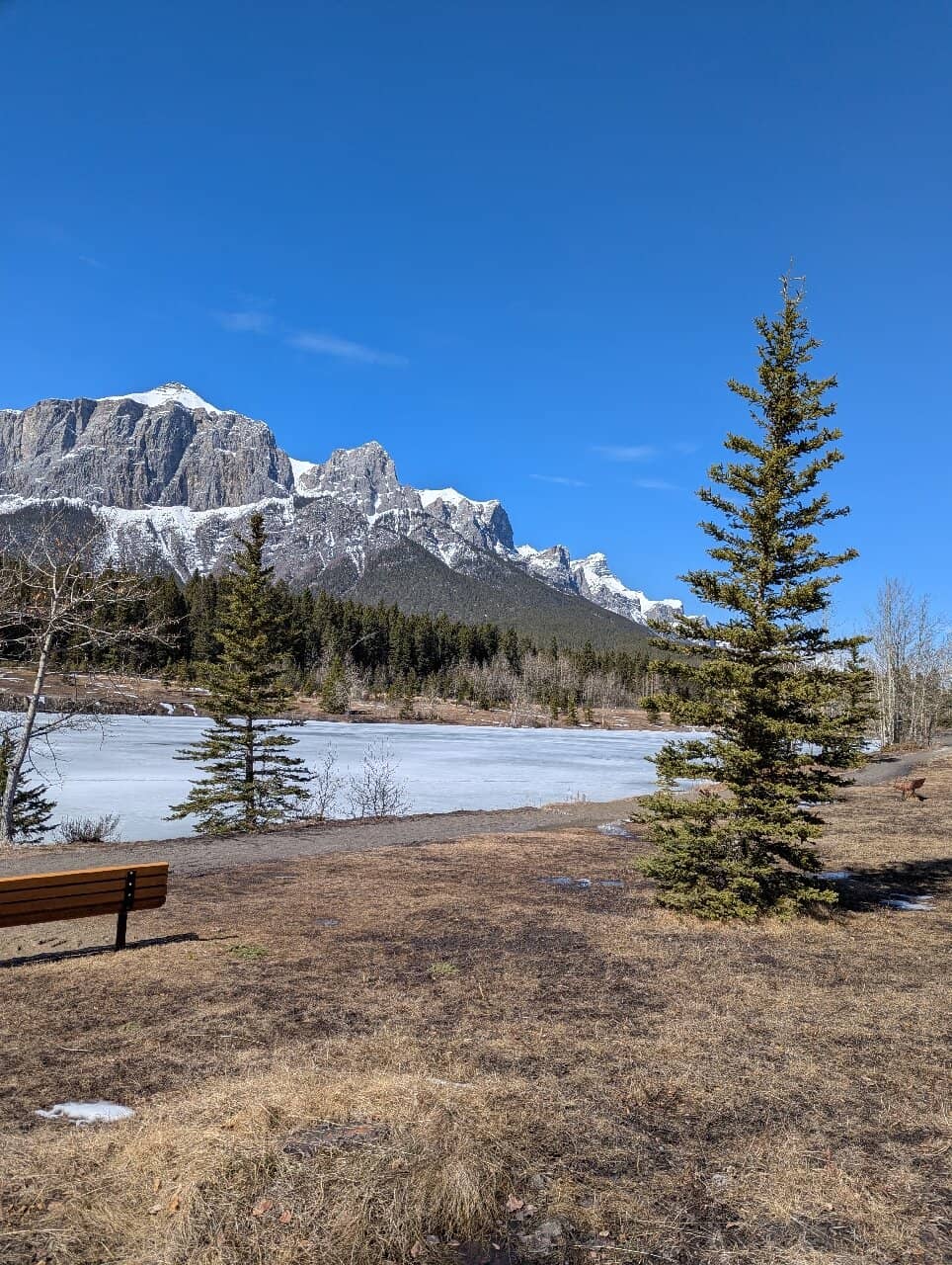 Panoramic Mountain Vistas