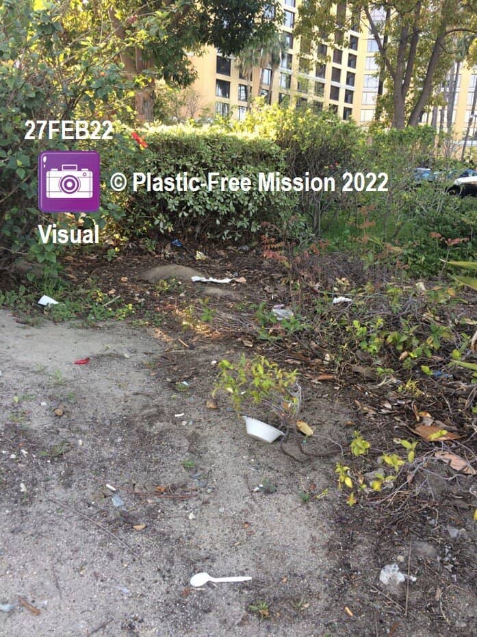 Pet-Friendly Sweet Treats