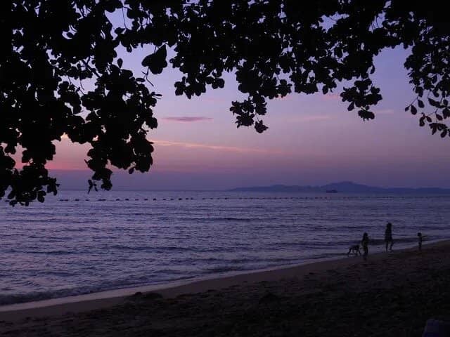 Vibrant Beachfront Dining