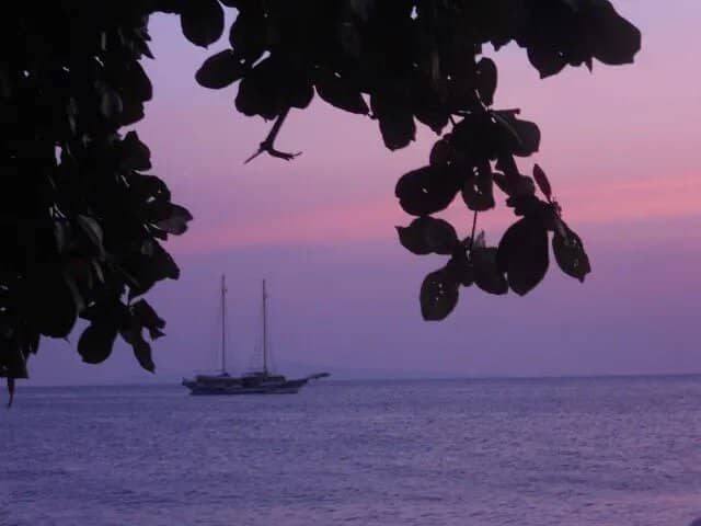 Luxury Stays with Ocean Views