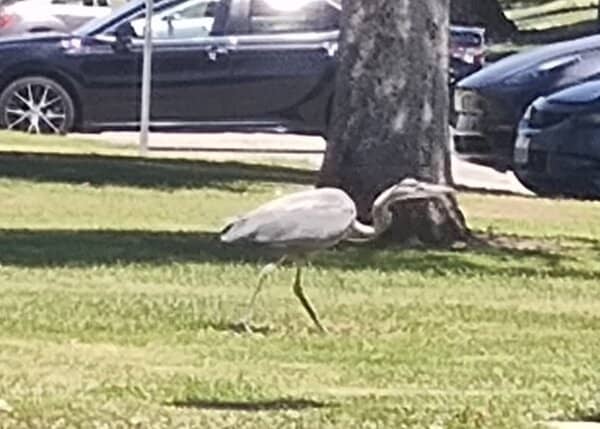 Highlights