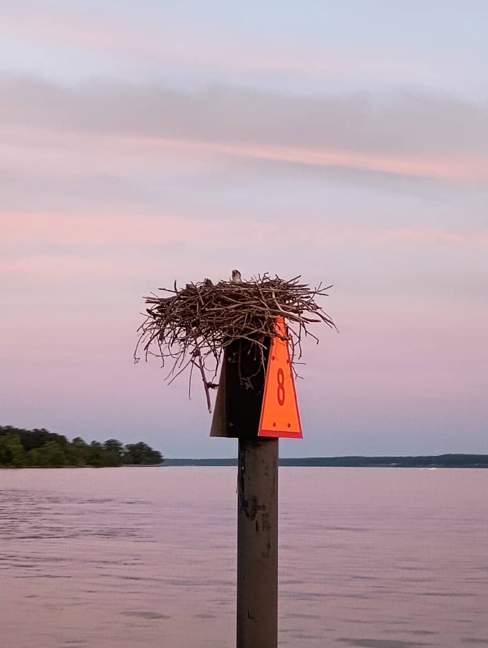 Captain Corey's History Lesson