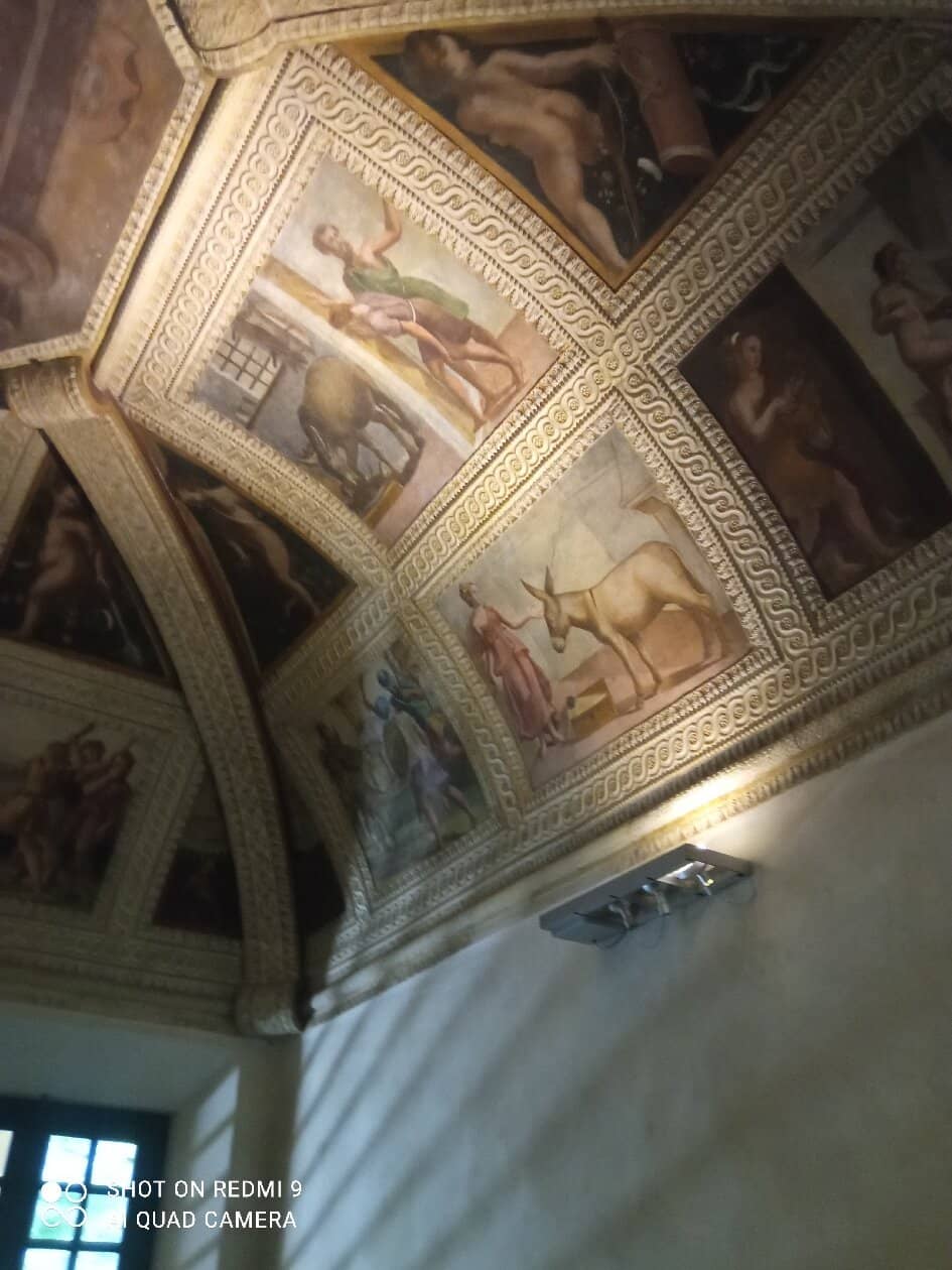 Passionate Guided Tours