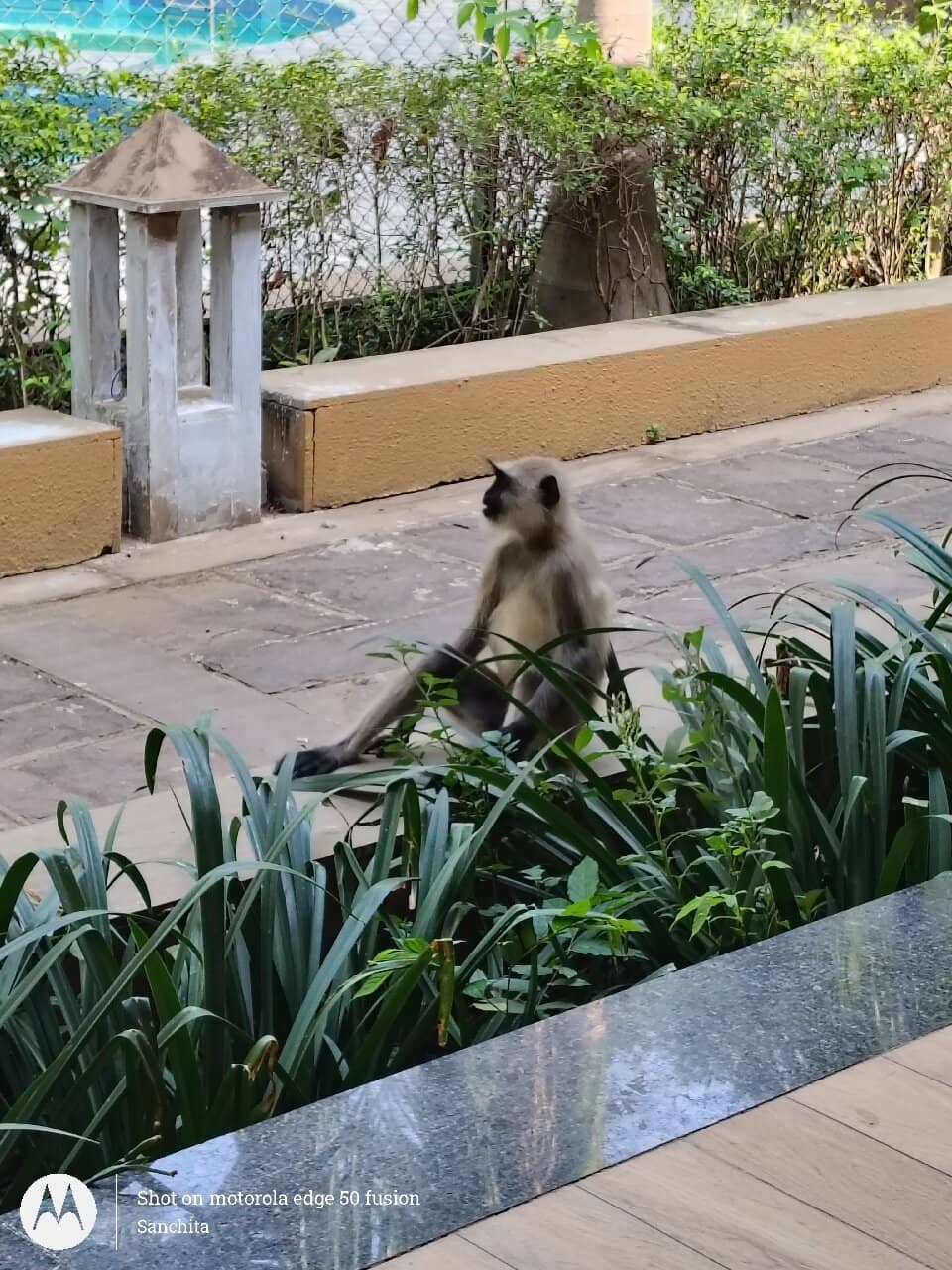 Bandhavgarh Fort