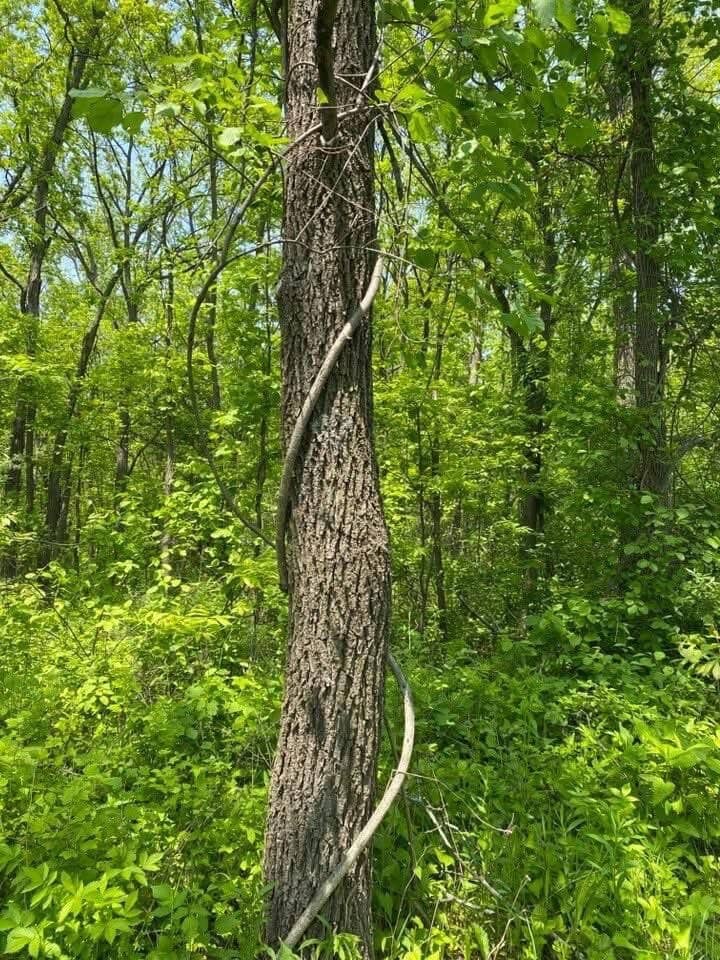 Vertical photo