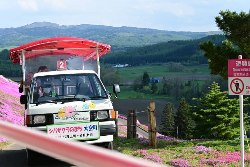 Pink Go-Kart Track