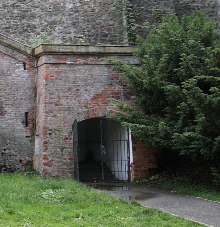 Art Installations & Greenery