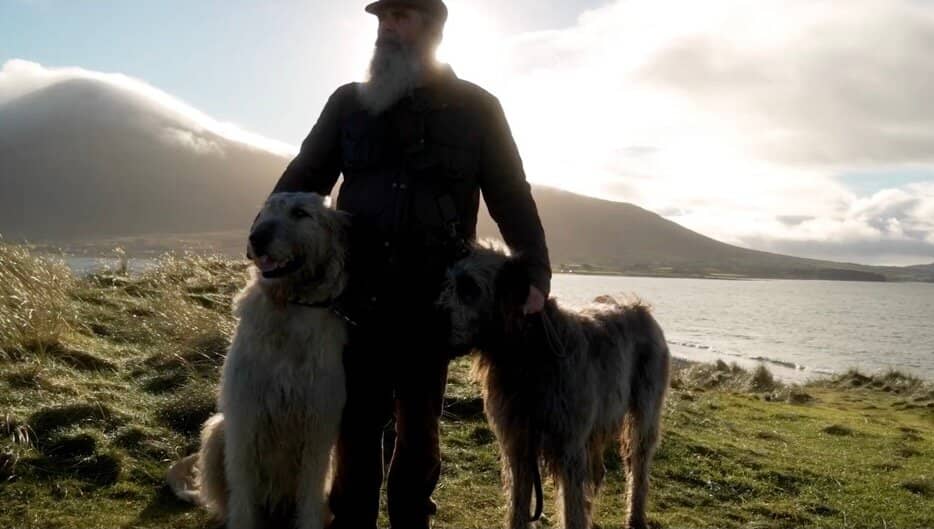 Croagh Patrick Vista