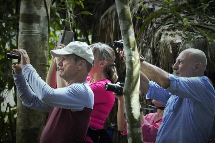 Jungle Trekking