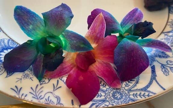 Indulgent Sweet Treats