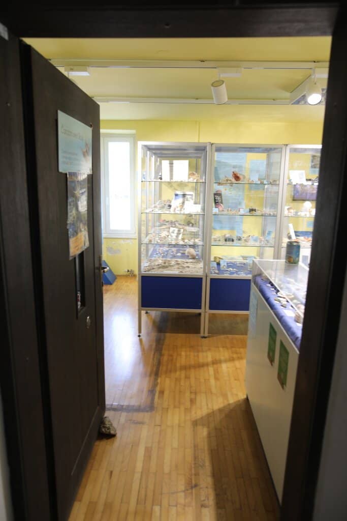 Vast Shell Collection