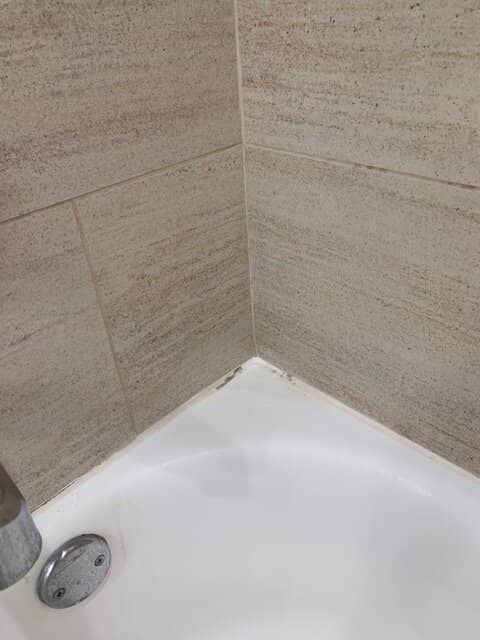 Wetlands Preservation