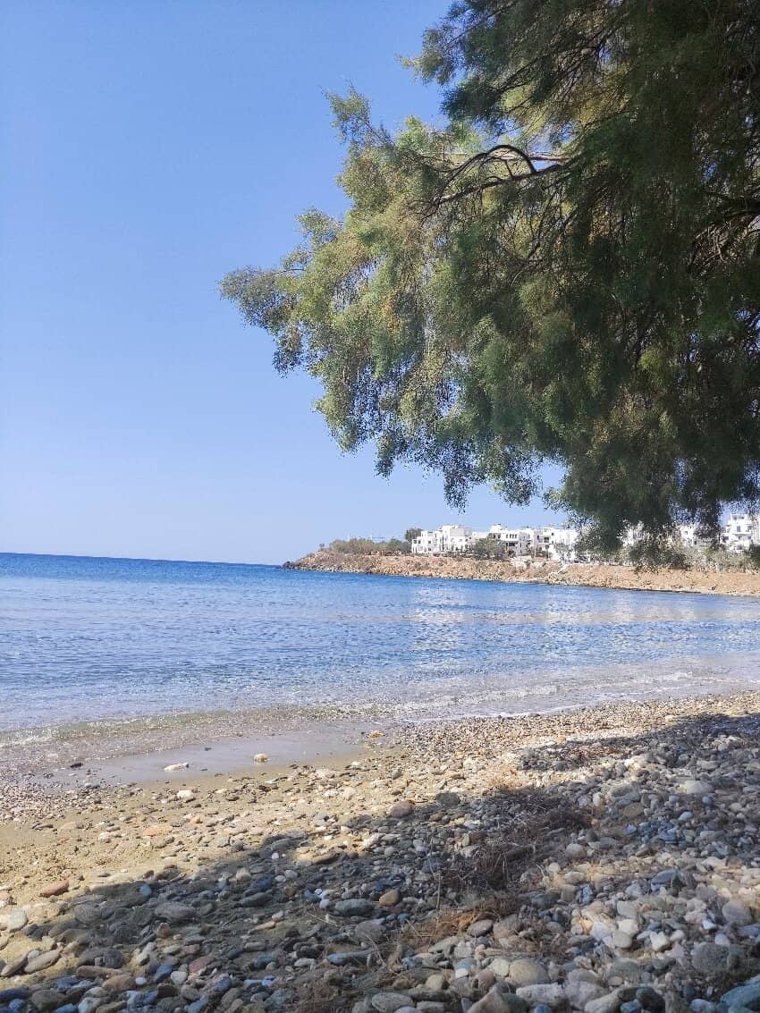 Wind Protection Fence