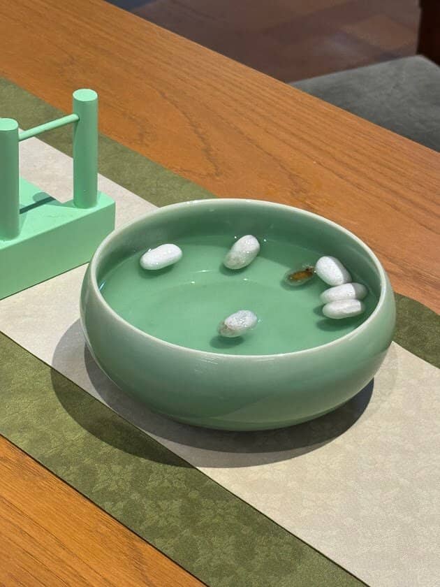 Live Silkworm Demonstration