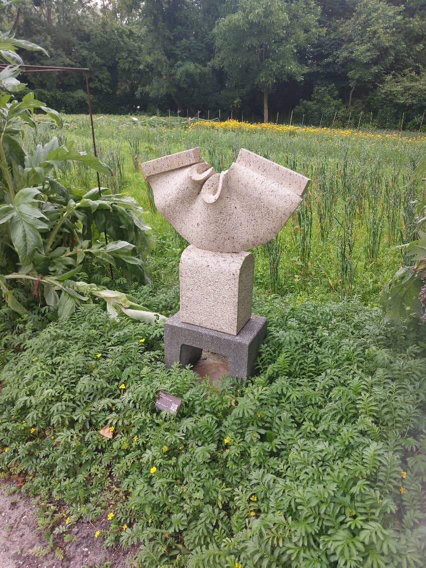 Diverse Plant Collections