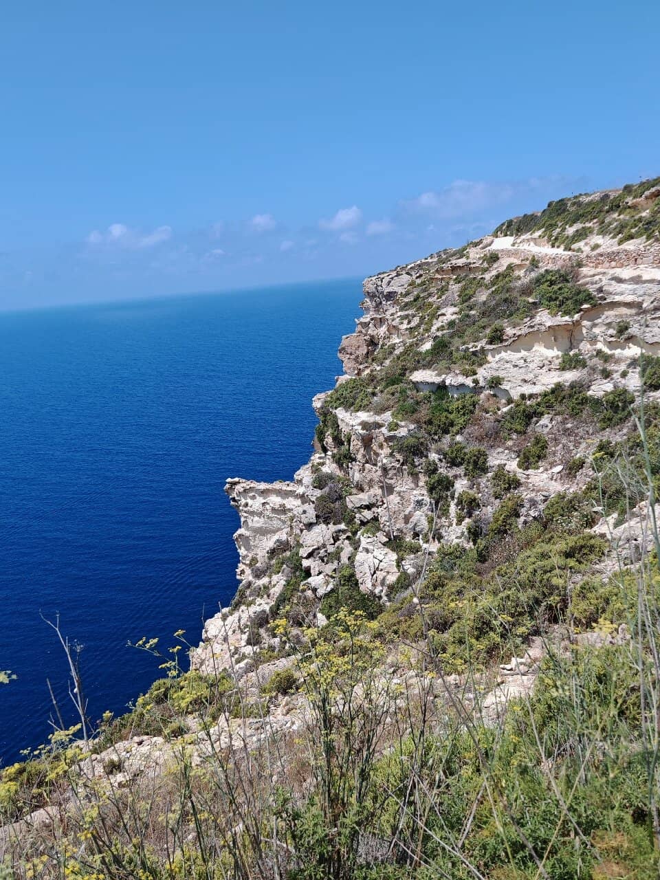 Serene Hiking Trails