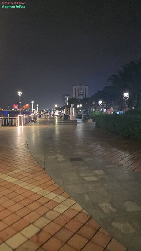 Han River Cruise