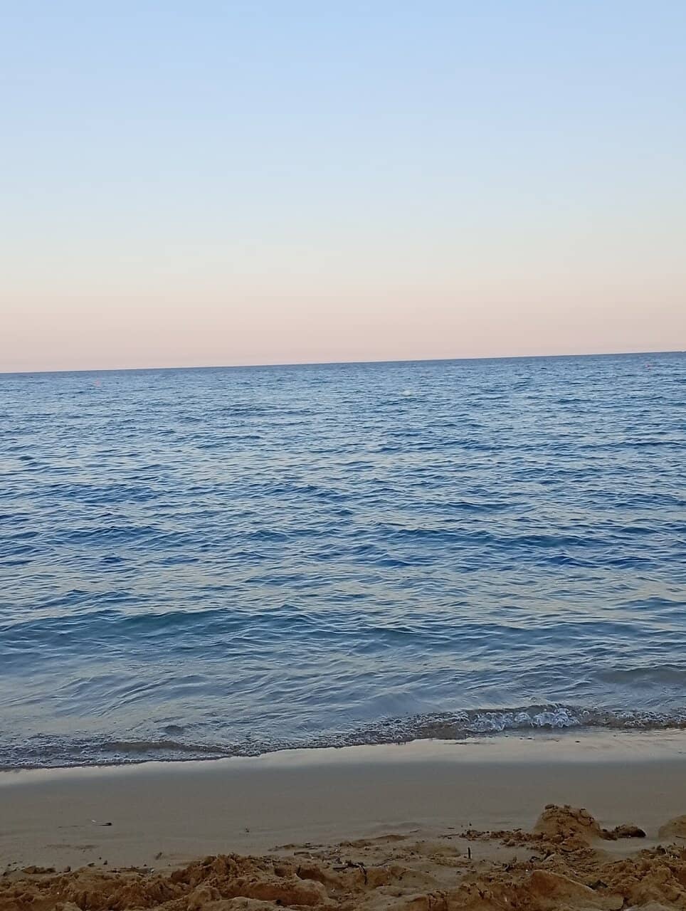 Dedicated Lifeguards