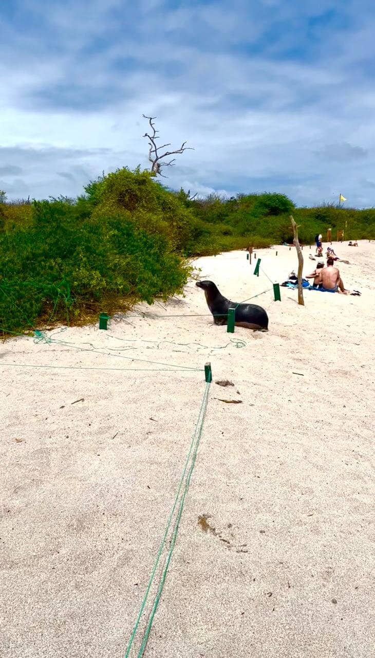Red-and-White Lighthouse