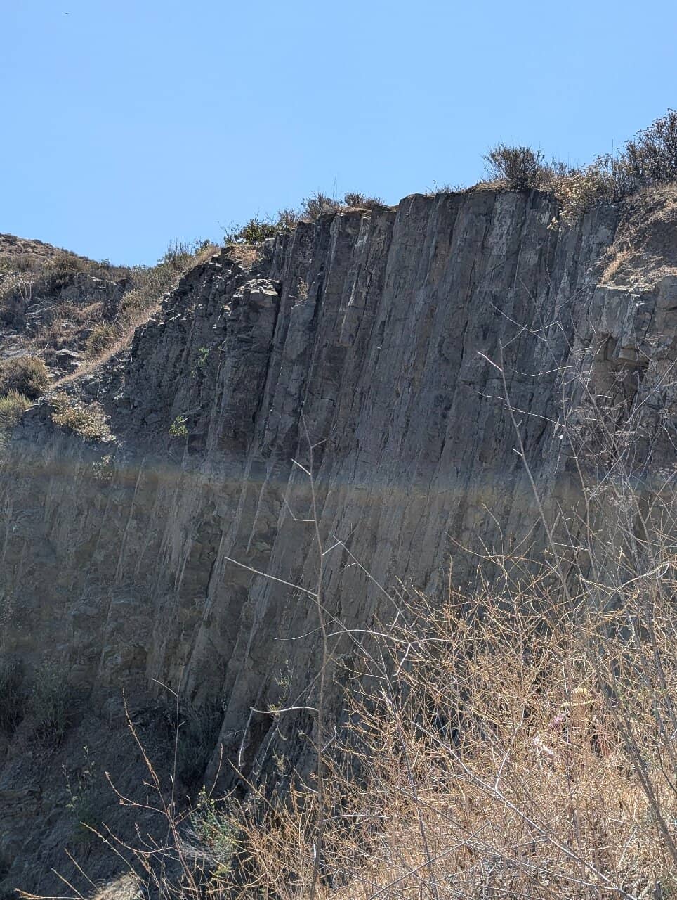 Vertical photo