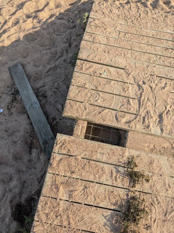 Vertical photo