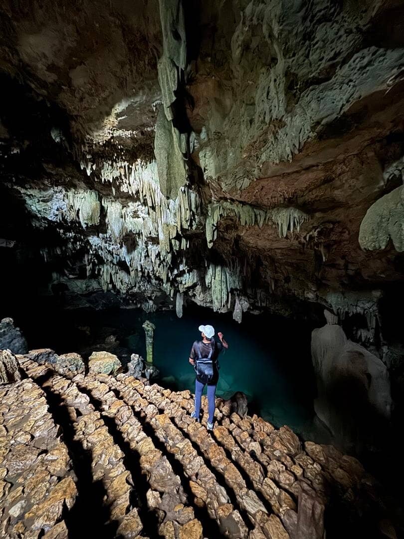 Jungle Trek Experience