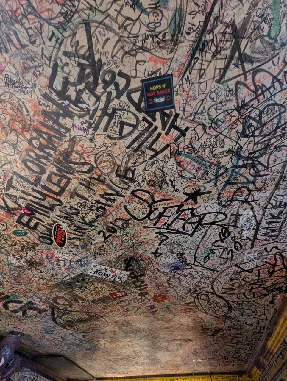 Celebrity & Presidential Pedigree