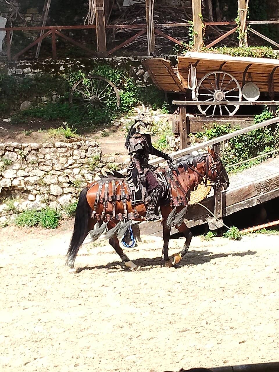 Spectacular Horse Riding