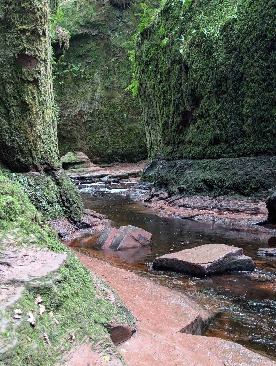 Moss-Covered Gorge Walls